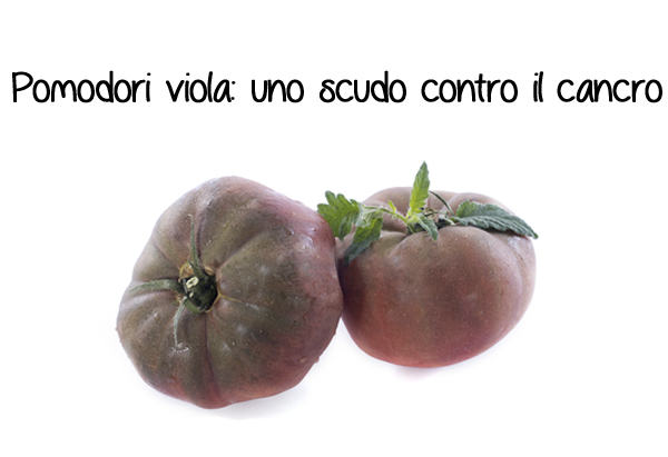  - pomodori-viola